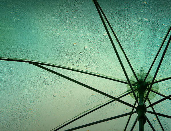 Blog 1 Keep your umbrella handy